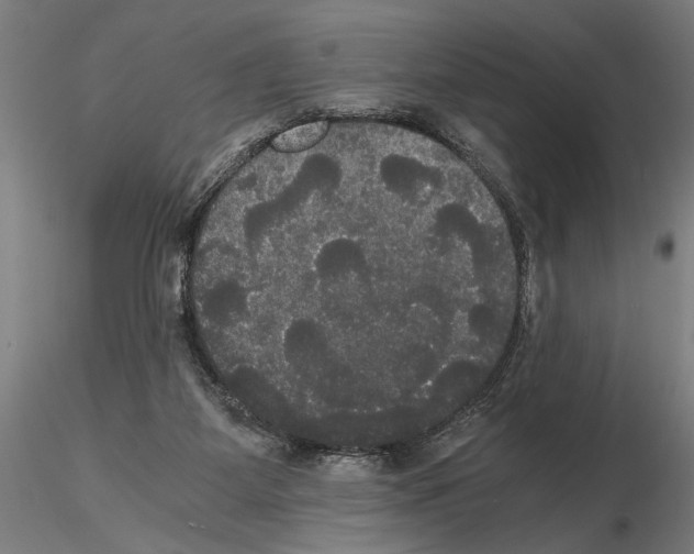 X0000114640115200912011057