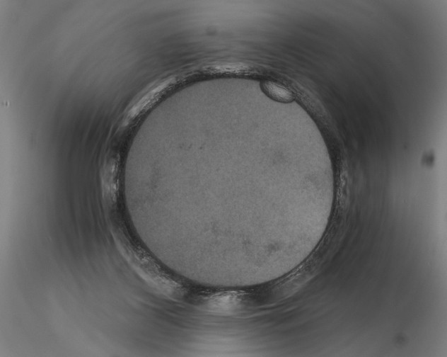 X0000114640116200912011057