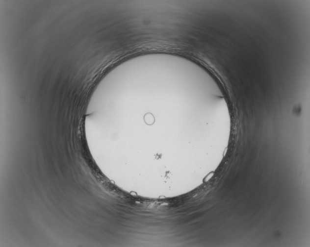 X0000114640117200912011057