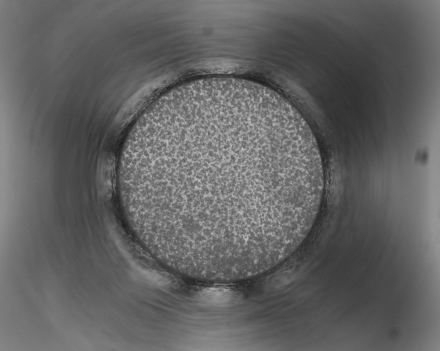 X0000114640119200912011057