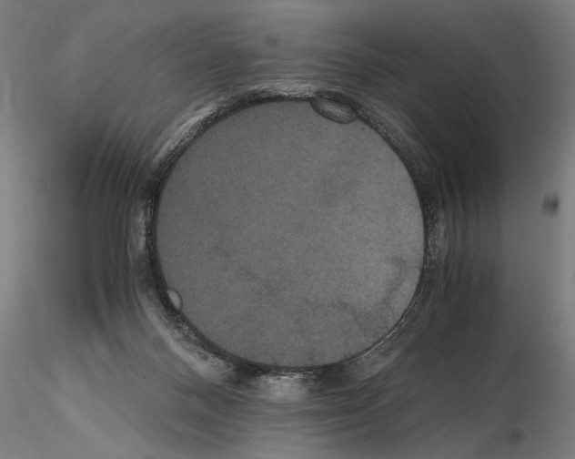 X0000114640120200912011057