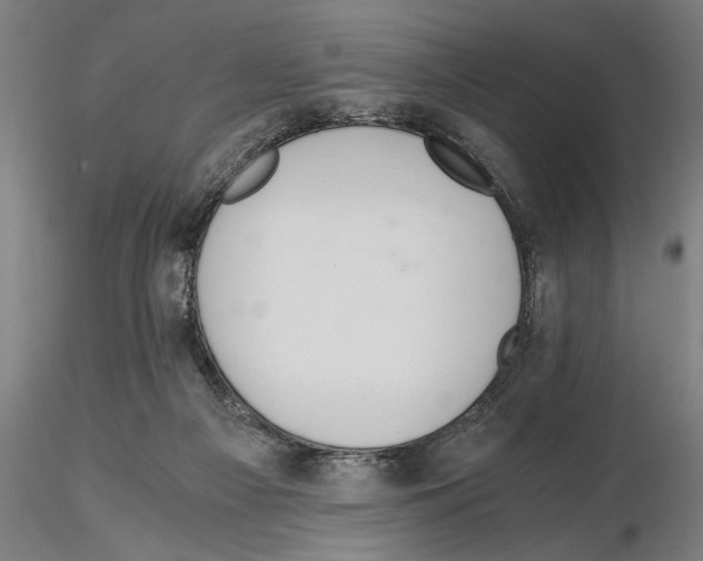 X0000114640121200912011057