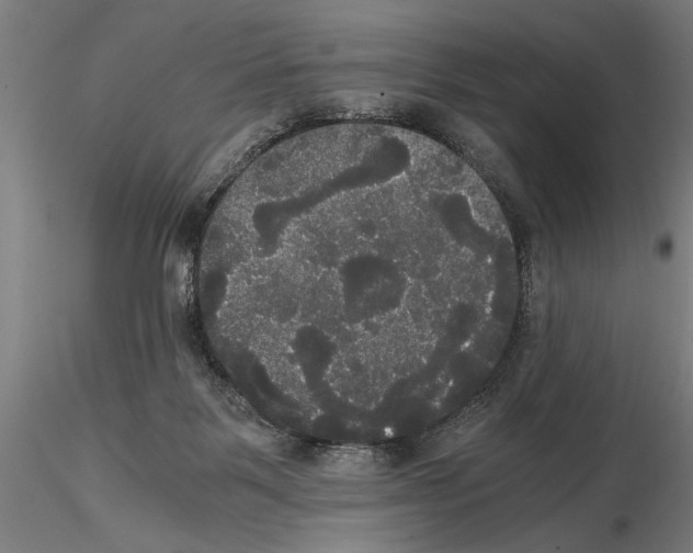 X0000114640123200912011057