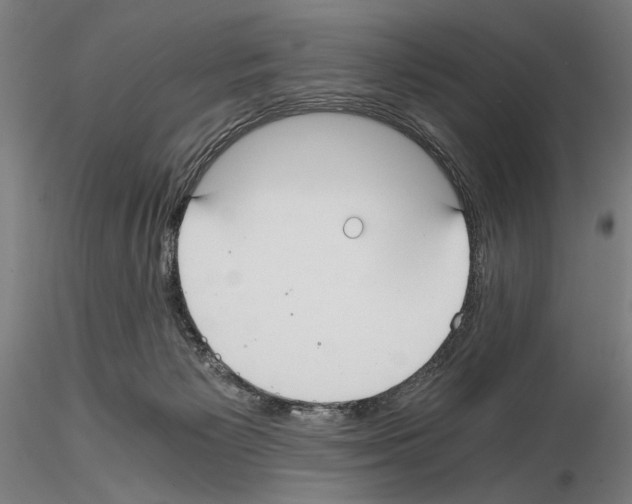 X0000114640125200912011057