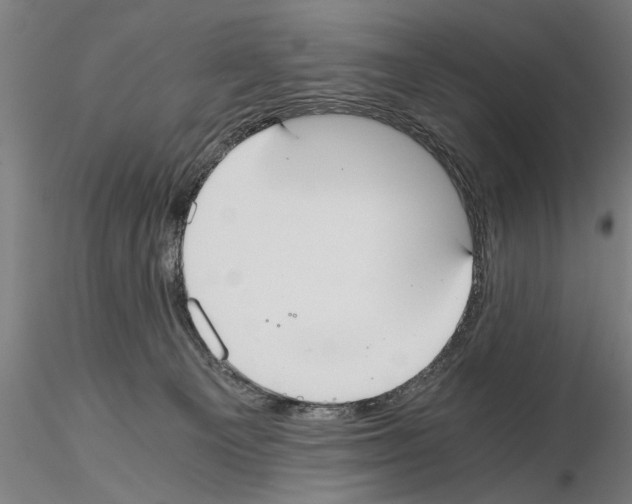 X0000114640129200912011057