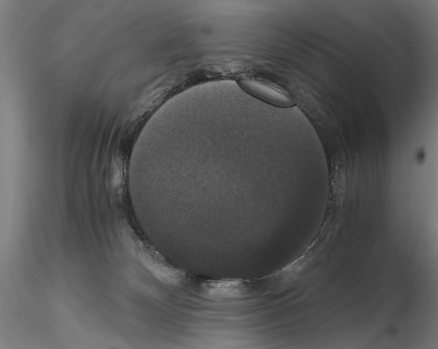 X0000114640132200912011057