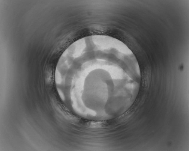 X0000114640134200912011057