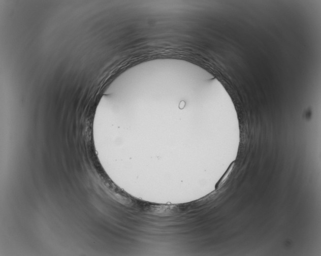 X0000114640136200912011057