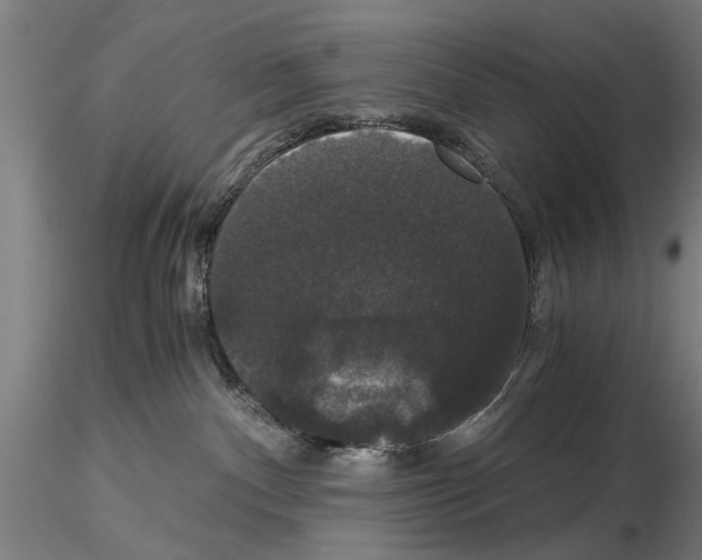 X0000114640140200912011057