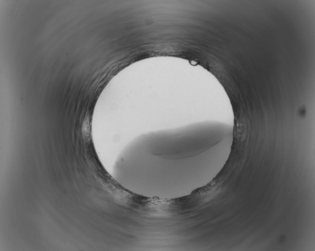 X0000114640143200912011057