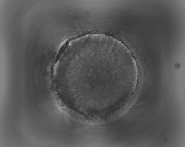 X0000114640144200912011057