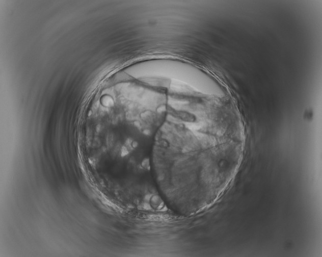 X0000114640145200912011056