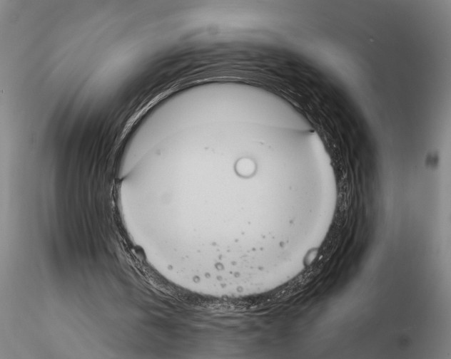 X0000114640146200912011056