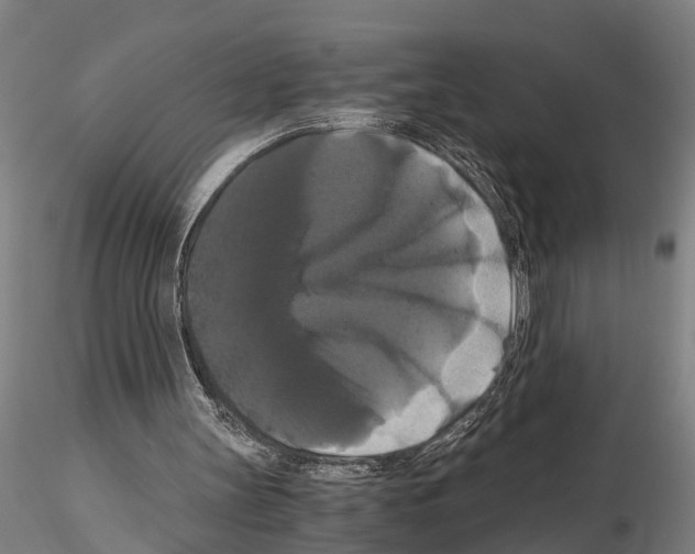 X0000114640147200912011056