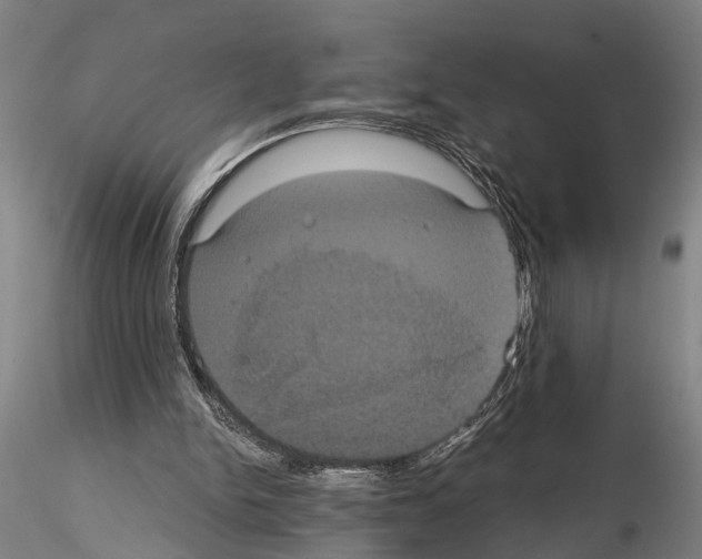 X0000114640150200912011056