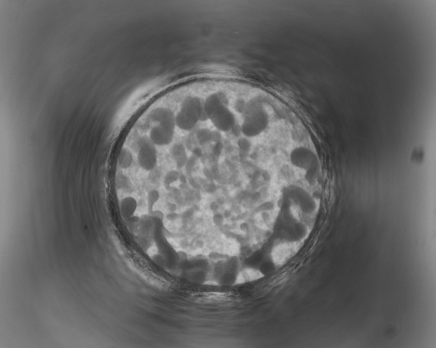 X0000114640151200912011056