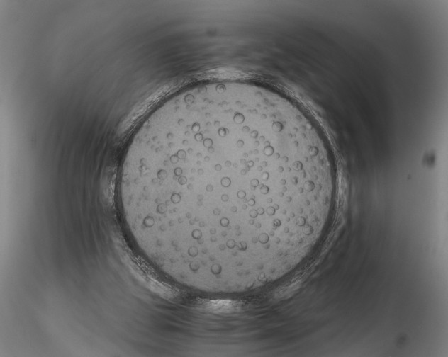 X0000114640153200912011057