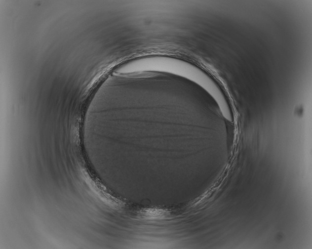 X0000114640154200912011057