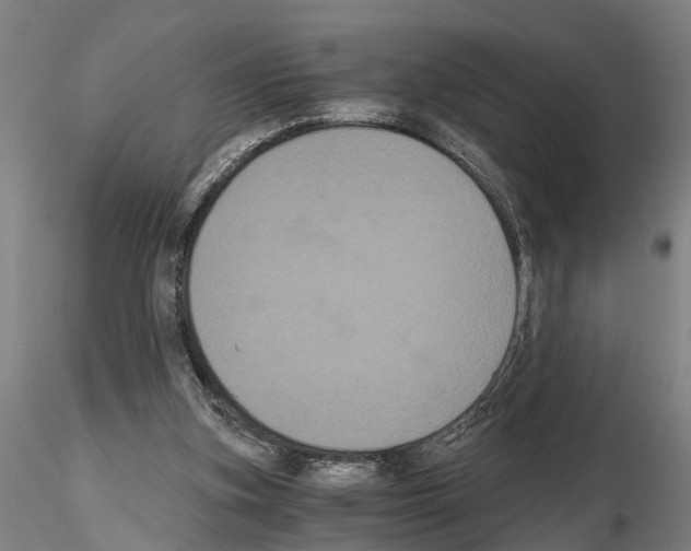 X0000114640155200912011057