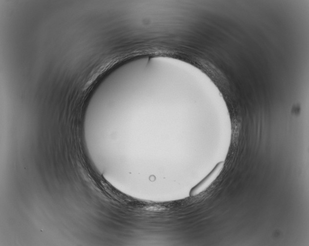 X0000114640158200912011057