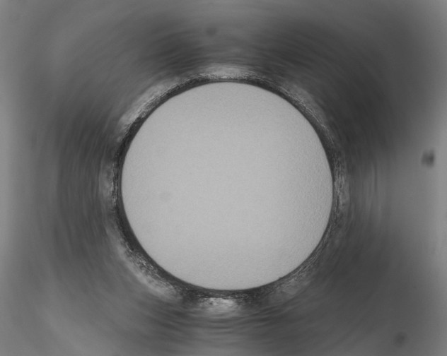 X0000114640159200912011057