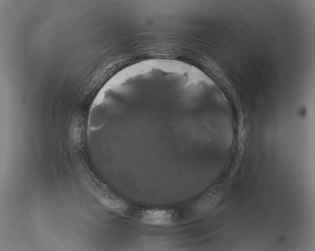 X0000114640161200912011057