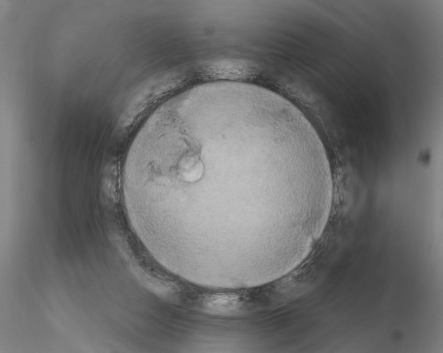 X0000114640162200912011057