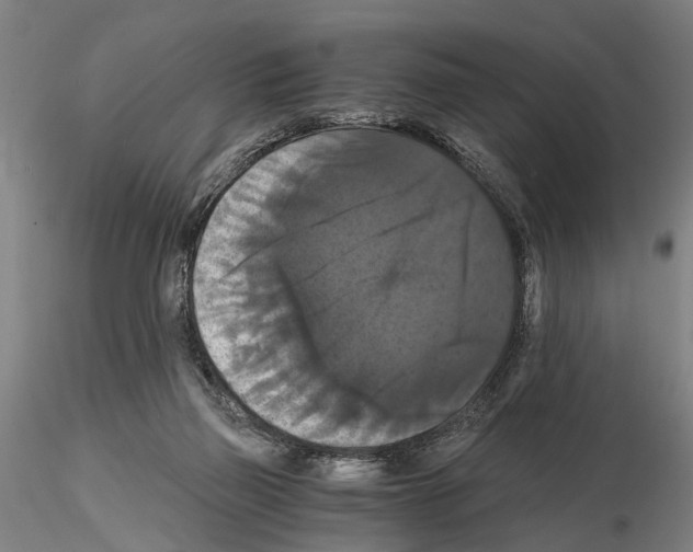 X0000114640165200912011057