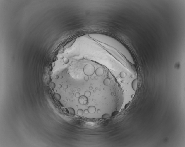 X0000114640167200912011057