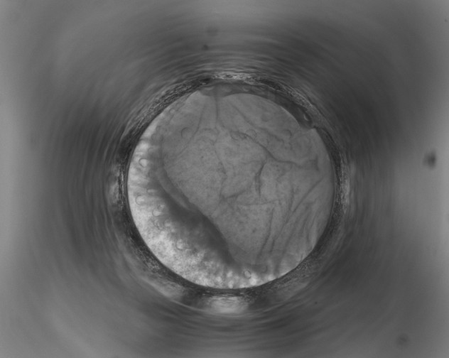 X0000114640169200912011057