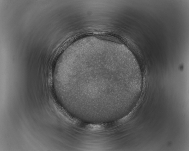 X0000114640170200912011057