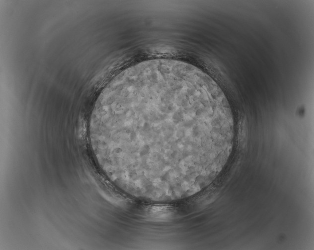 X0000114640173200912011057