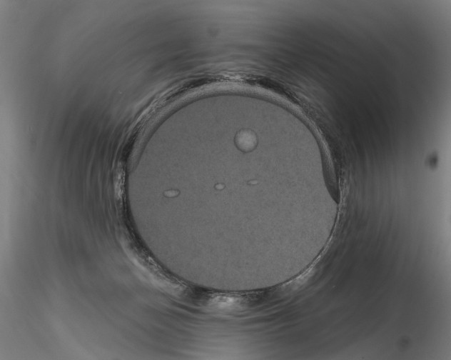 X0000114640174200912011057