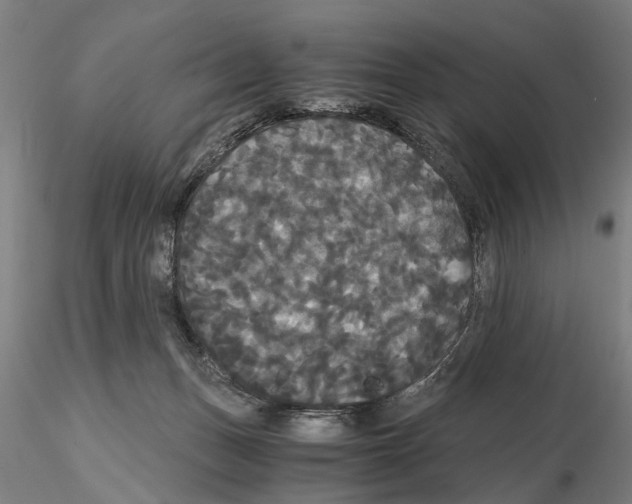 X0000114640175200912011057