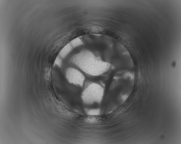 X0000114640177200912011057