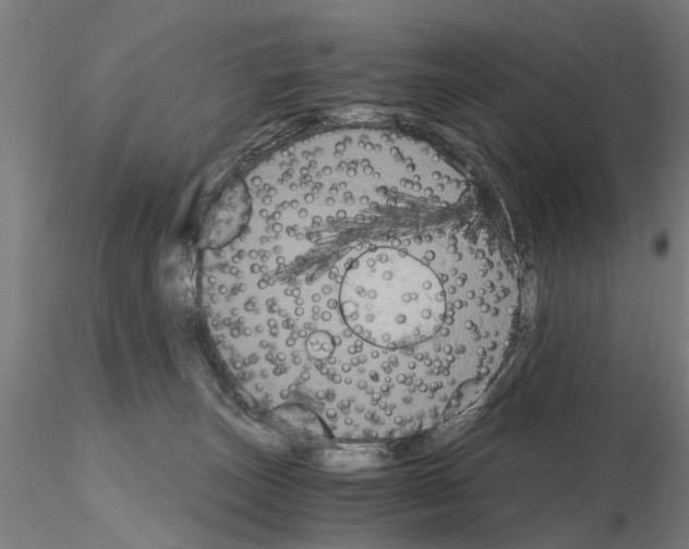 X0000114640179200912011057