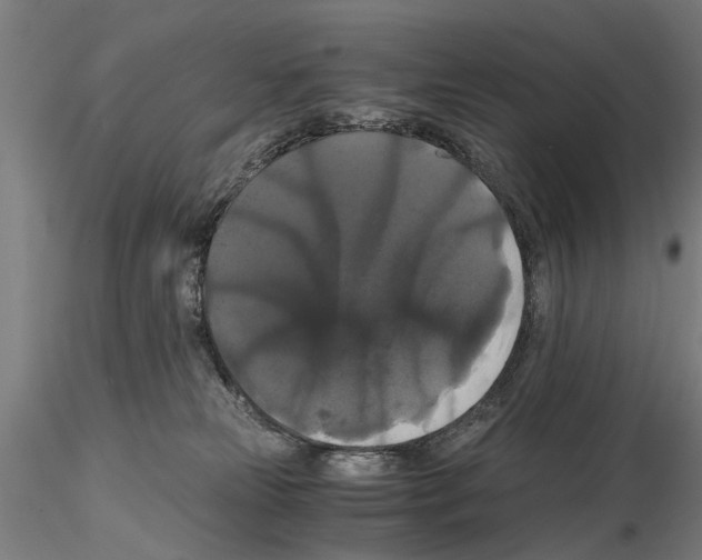 X0000114640181200912011057