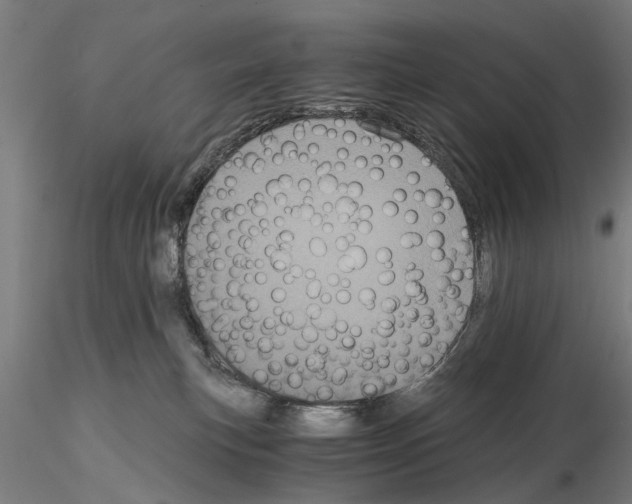 X0000114640183200912011057