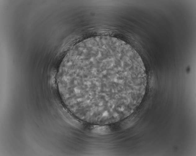 X0000114640185200912011057