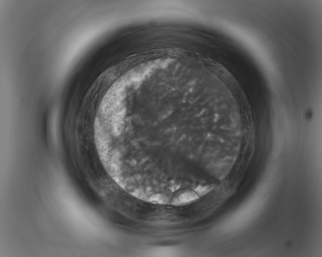 X0000114640189200912011057