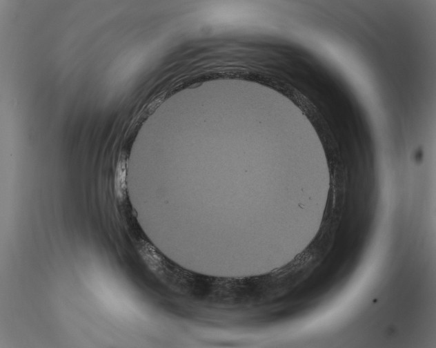 X0000114640190200912011057