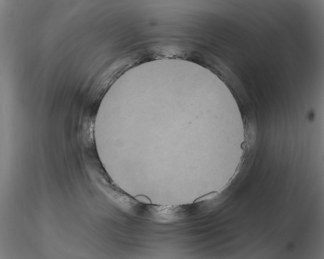 X0000114640191200912011057