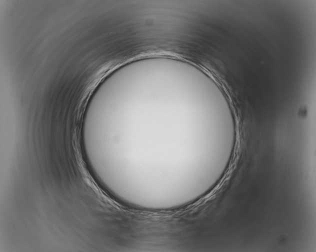 X0000114640193200912011056