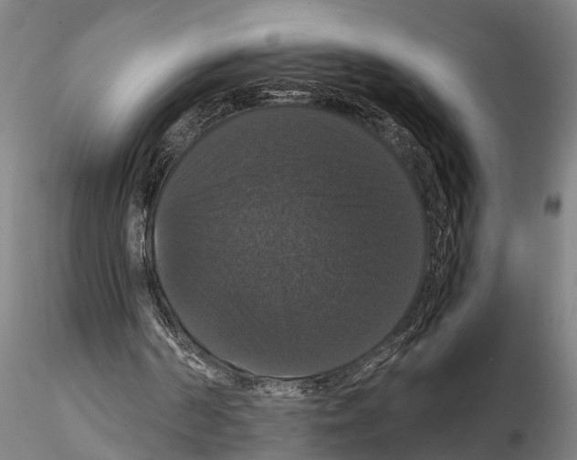 X0000114640194200912011056