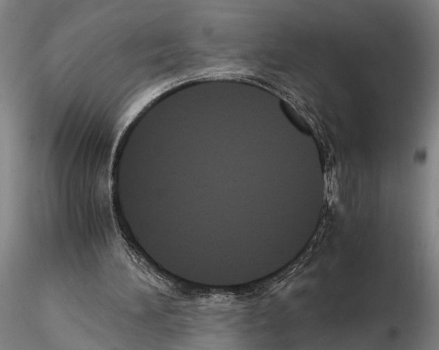 X0000114640196200912011056