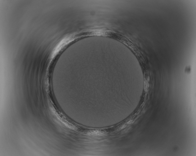 X0000114640198200912011056