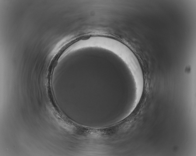 X0000114640199200912011056