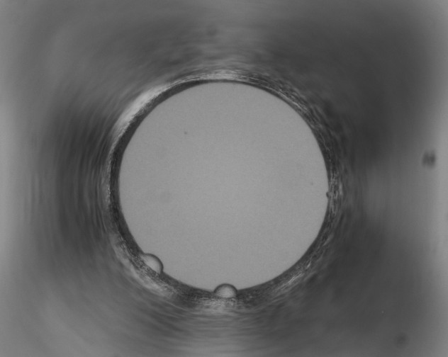 X0000114640200200912011056