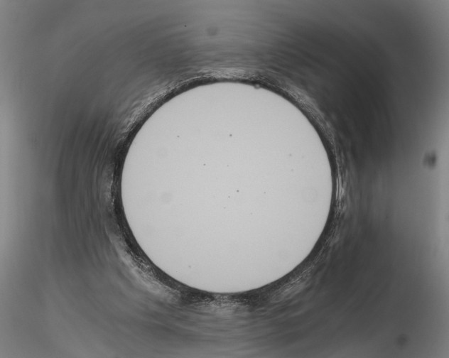 X0000114640201200912011056