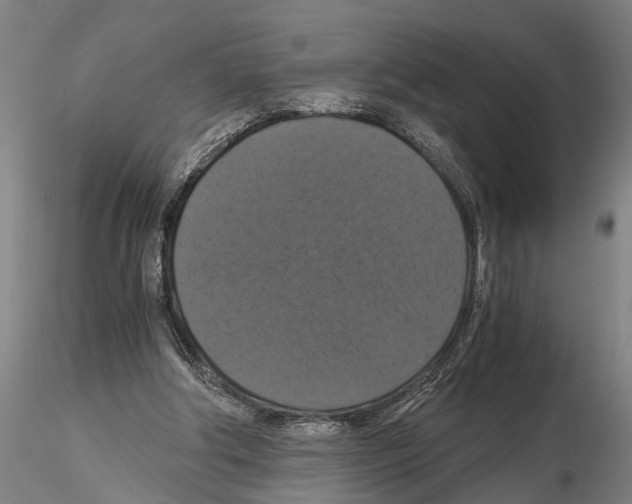 X0000114640202200912011056